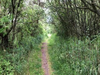 Villa Midsland Omgeving 40