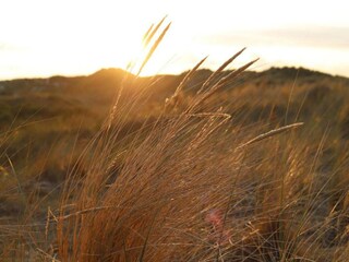 Villa Midsland Entorno 38