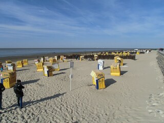 Nordsee (Cuxhaven)