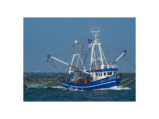 Ferienwohnung Norddeich Umgebung 11