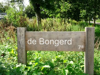 Vakantiehuis Renesse Omgeving 21