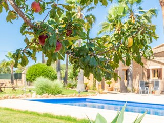 Villa S'Alqueria Blanca Buitenaudio-opname 19