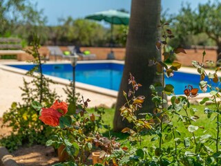 Villa S'Alqueria Blanca Außenaufnahme 18