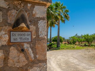 Villa S'Alqueria Blanca Registrazione all'aperto 23