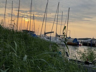 Ferienwohnung Saal in Vorpommern Umgebung 35