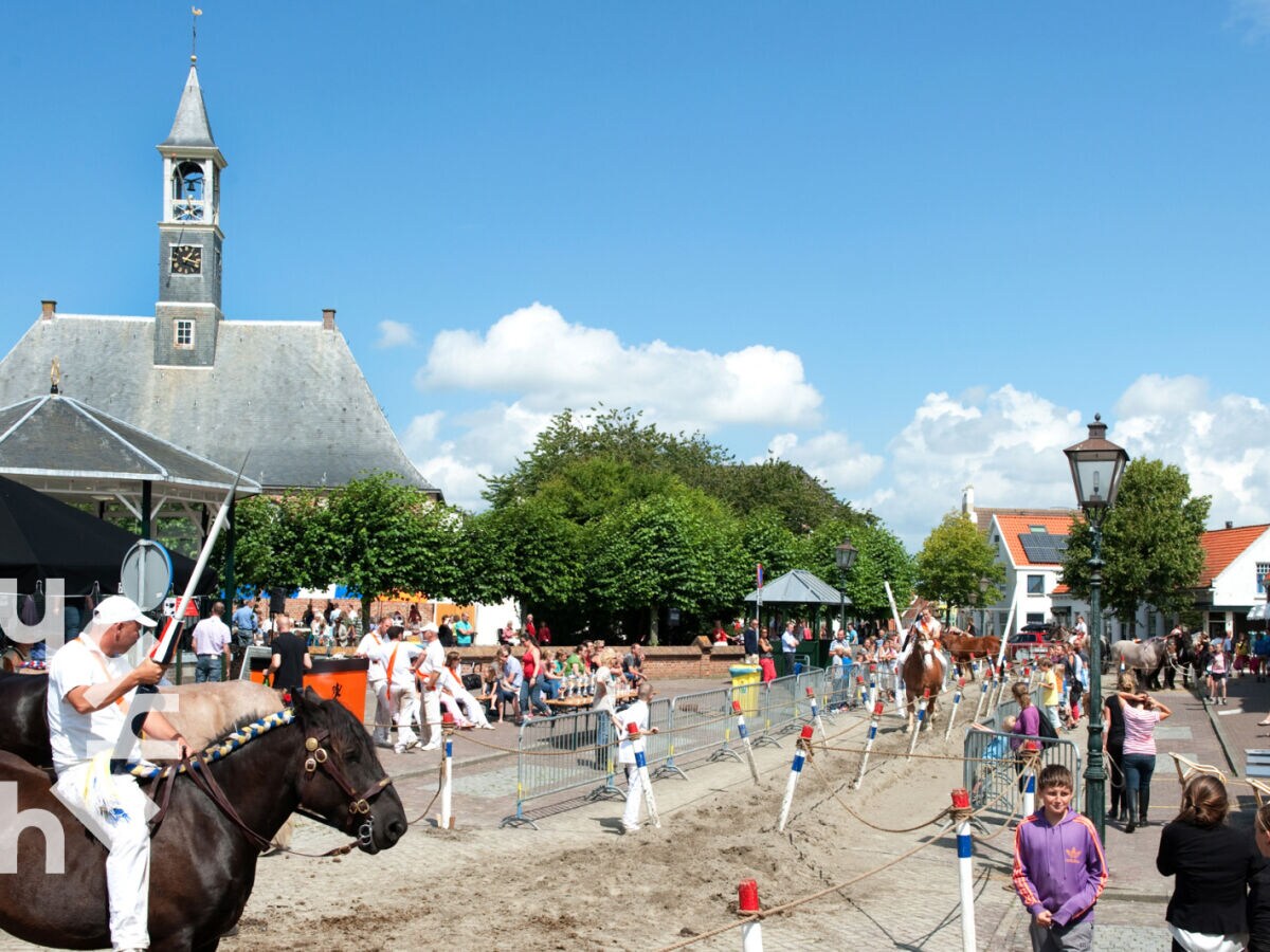 Ferienhaus Dishoek Umgebung 18