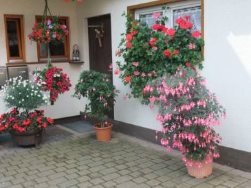 Ferienwohnung Pension Böhler