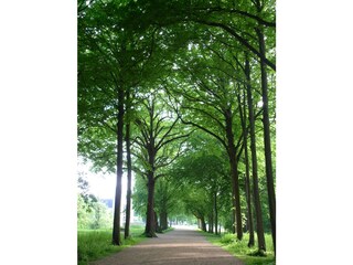 Appartamento Oostkapelle Ambiente 15