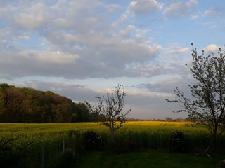 Holiday house Schnarup-Thumby Outdoor Recording 16