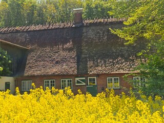 Holiday house Schnarup-Thumby Outdoor Recording 18