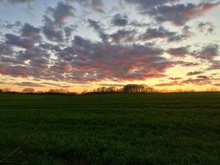 Holiday house Schnarup-Thumby Outdoor Recording 19