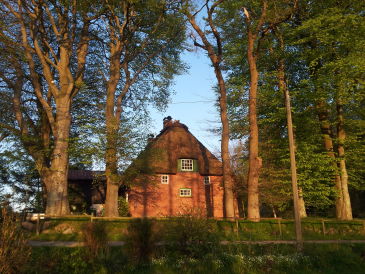 Holiday house Romantisches Reetdachhaus