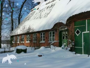 Holiday house Romantisches Reetdachhaus