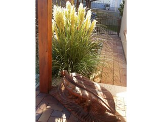 Appartamento per vacanze Göhren Registrazione all'aperto 4