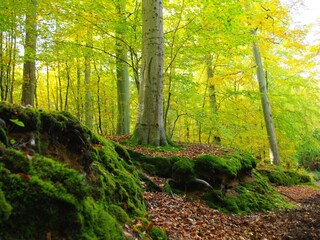 Appartamento per vacanze Göhren Ambiente 17