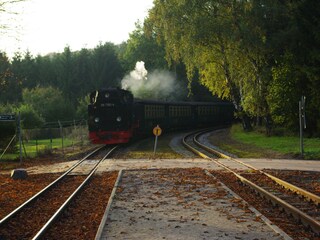 Appartamento per vacanze Göhren Ambiente 18