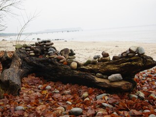 Appartamento per vacanze Göhren Ambiente 19