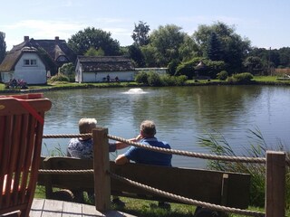 Angelteich in Göhren - einfach schön