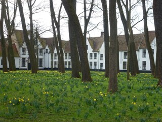 Appartamento per vacanze Bredene Ambiente 20