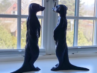 Ferienhaus Tinnum Ausstattung 23