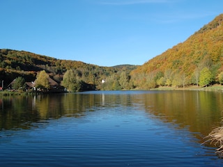 Appartamento per vacanze Rieden (Eifel)  17