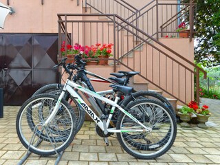 Apartamento de vacaciones Fažana Grabación al aire libre 6