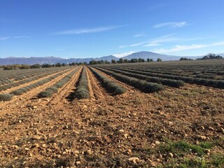 Casa per le vacanze Montagnac-Montpezat Ambiente 34