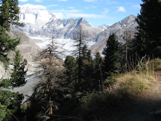 Wanderung Bettmeralp