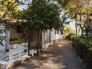 Casa per le vacanze Capoliveri Registrazione all'aperto 5