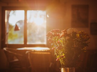 Casa per le vacanze Capoliveri Caratteristiche 20