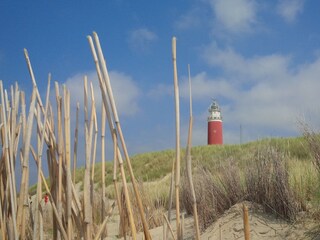 Vakantiehuis De Cocksdorp Omgeving 20