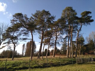 Vakantiehuis Somme-Leuze Omgeving 39