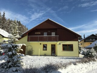 Villa Lipno nad Vltavou Grabación al aire libre 2