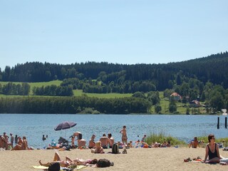 Villa Lipno nad Vltavou Omgeving 39