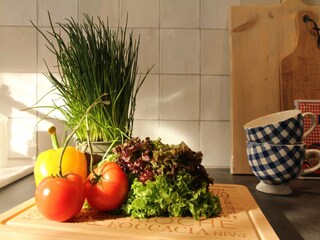 Casa de vacaciones Hindeloopen Características 11