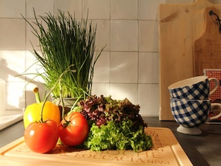 Ferienhaus Hindeloopen Ausstattung 21