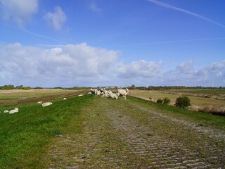 Vakantiehuis Hindeloopen Omgeving 30