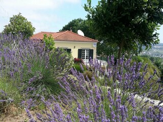 Villa Vidais Buitenaudio-opname 15