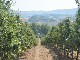 Villa Vidais Ambiente 36