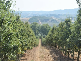 Villa Vidais Environment 36