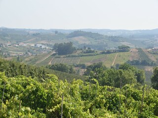 Villa Vidais Environnement 35