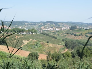 Villa Vidais Environment 35