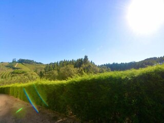 Villa Vidais Omgeving 37