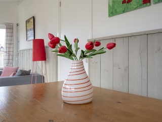 Appartamento per vacanze Callantsoog Caratteristiche 11