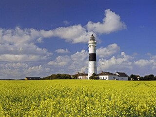 Casa per le vacanze Kampen Ambiente 18