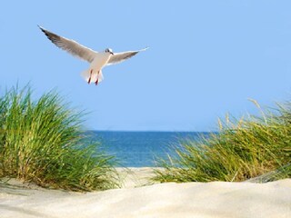 Casa per le vacanze Kampen Ambiente 20