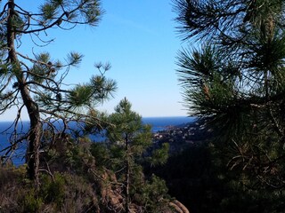 Appartement Theoule-sur-Mer Environnement 36