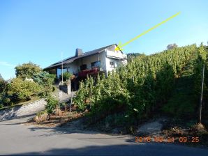 Panorama sulla Mosella