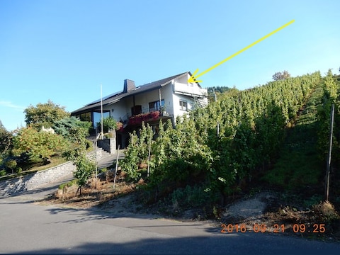 Ferienwohnung Mosel-Panorama