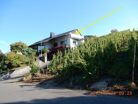 Vakantieappartement Moezel-Panorama
